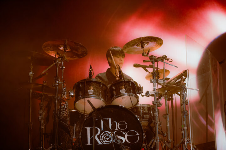The Rose