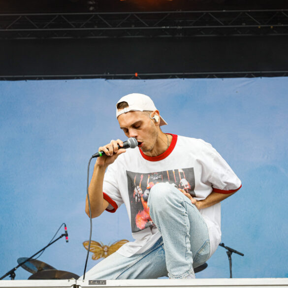 Landmvrks at Vainstream 25 (c)Erik Hennemann