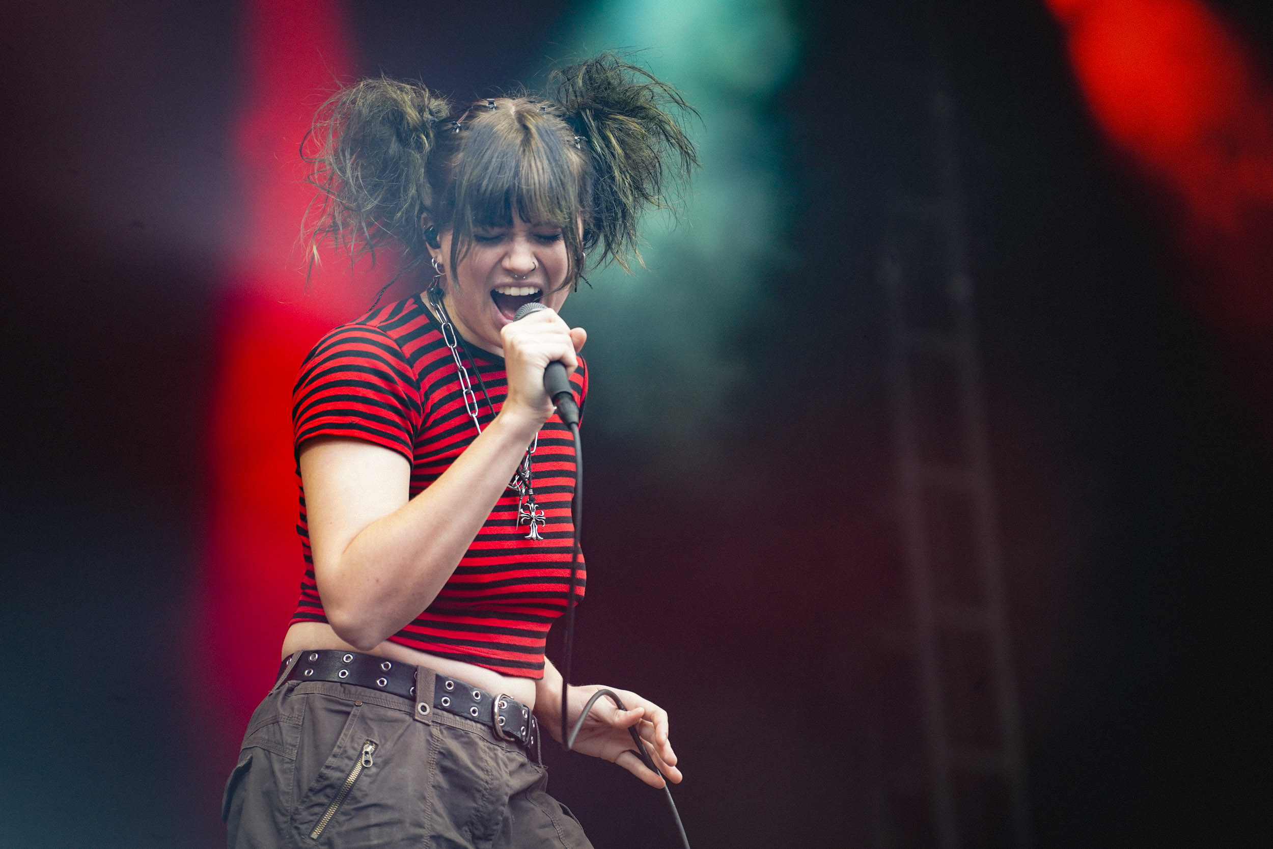 The Red Flags RIP Tag 2 c Lisa Hemp 24