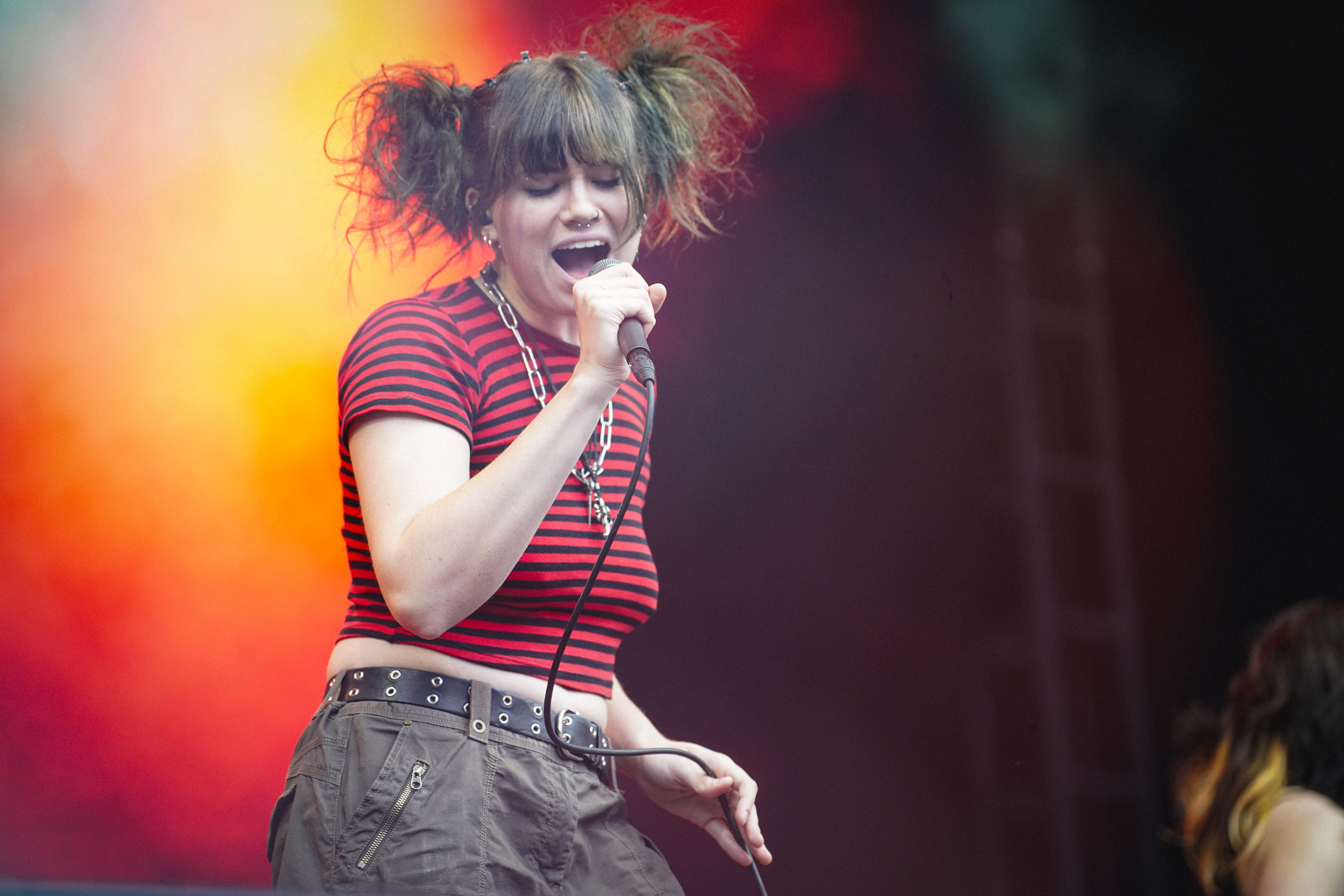 The Red Flags RIP Tag 2 c Lisa Hemp 9