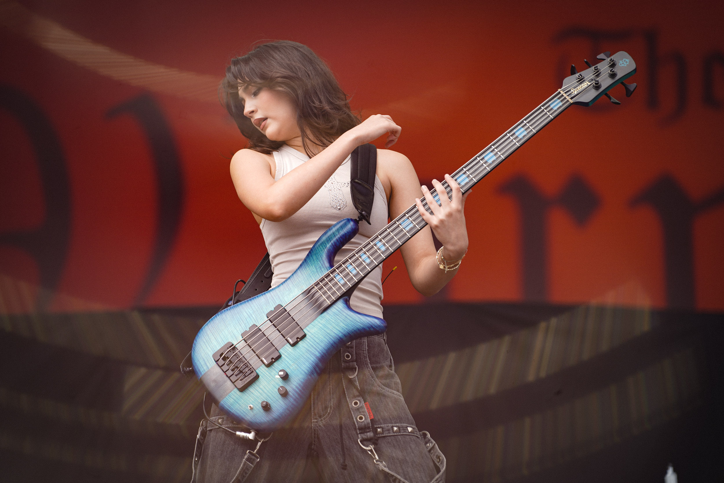 The Warning RIP Tag 2 c Lisa Hemp 13