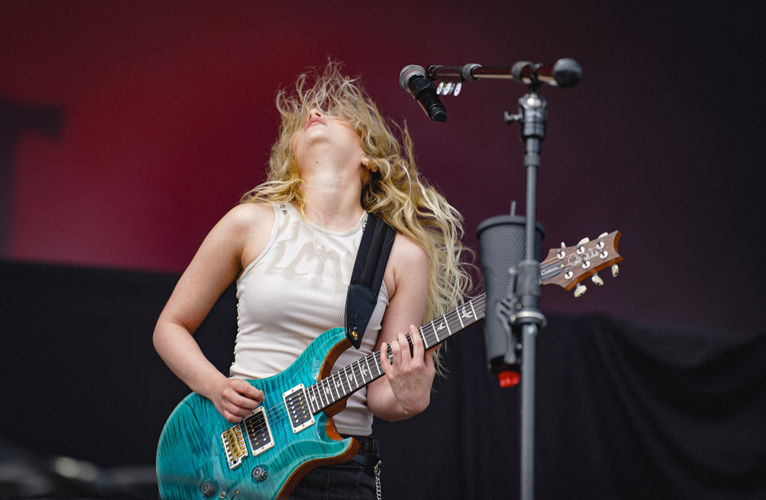 The Warning RIP Tag 2 c Lisa Hemp 25