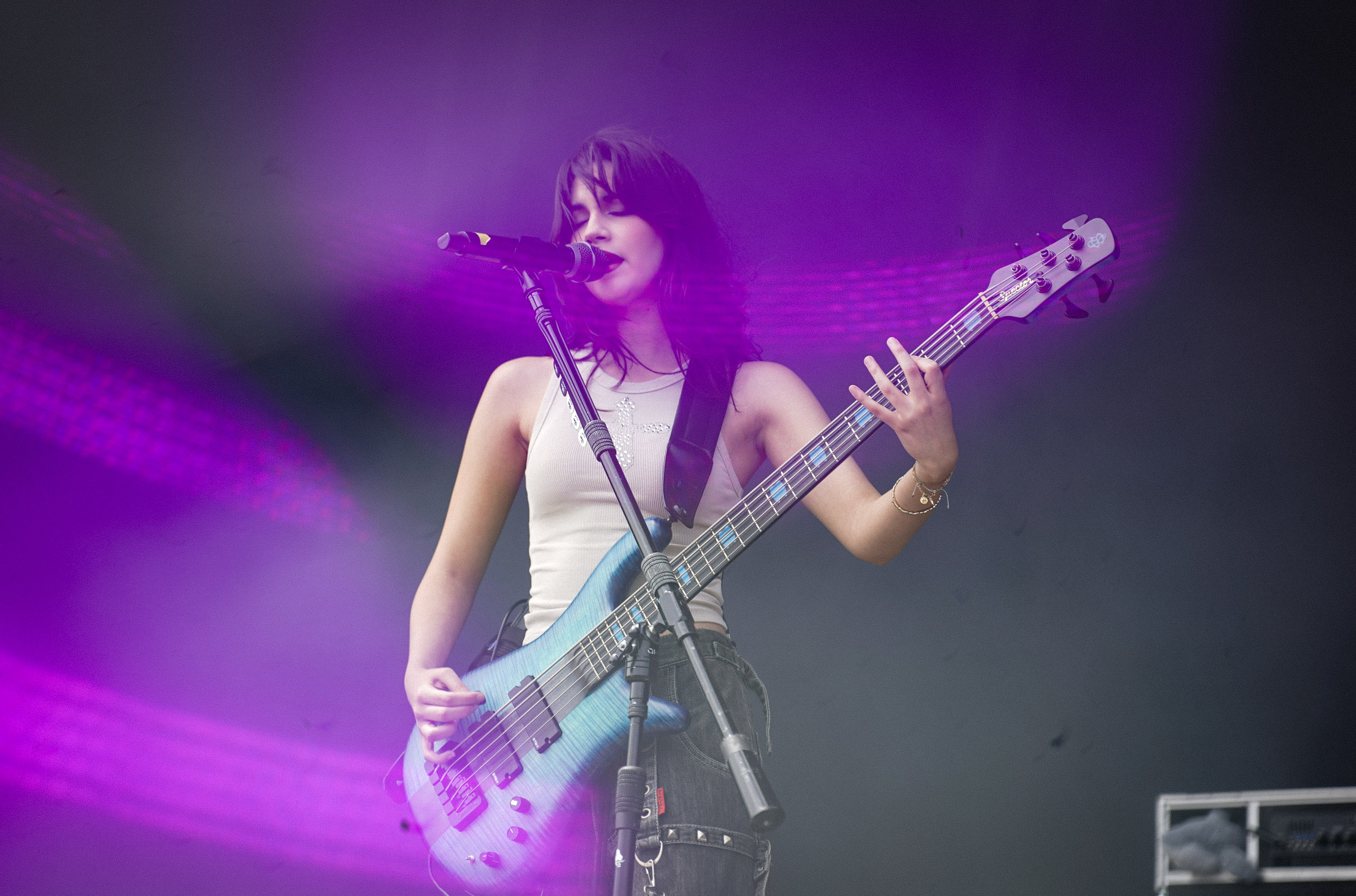 The Warning RIP Tag 2 c Lisa Hemp 29