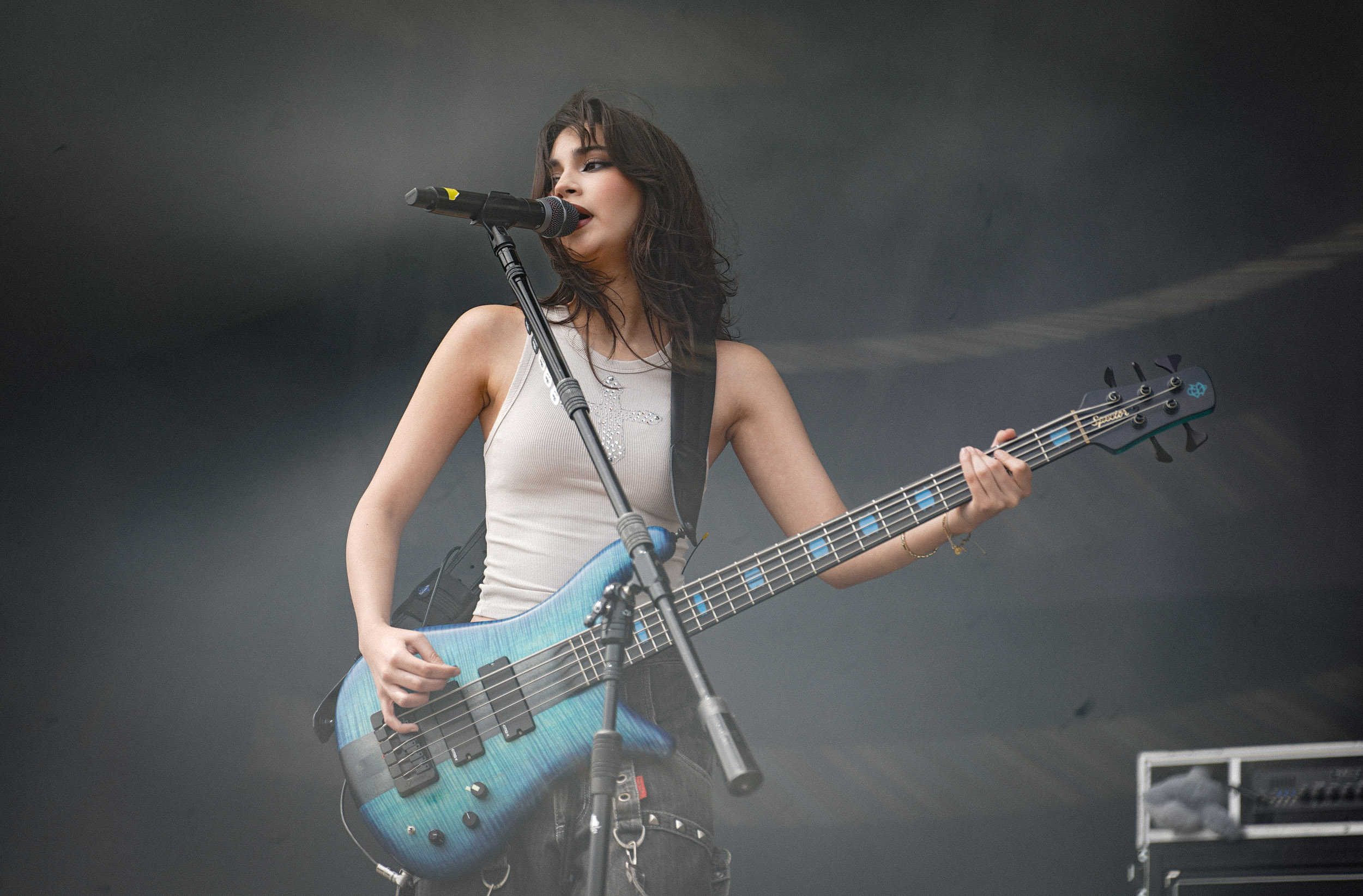 The Warning RIP Tag 2 c Lisa Hemp 30