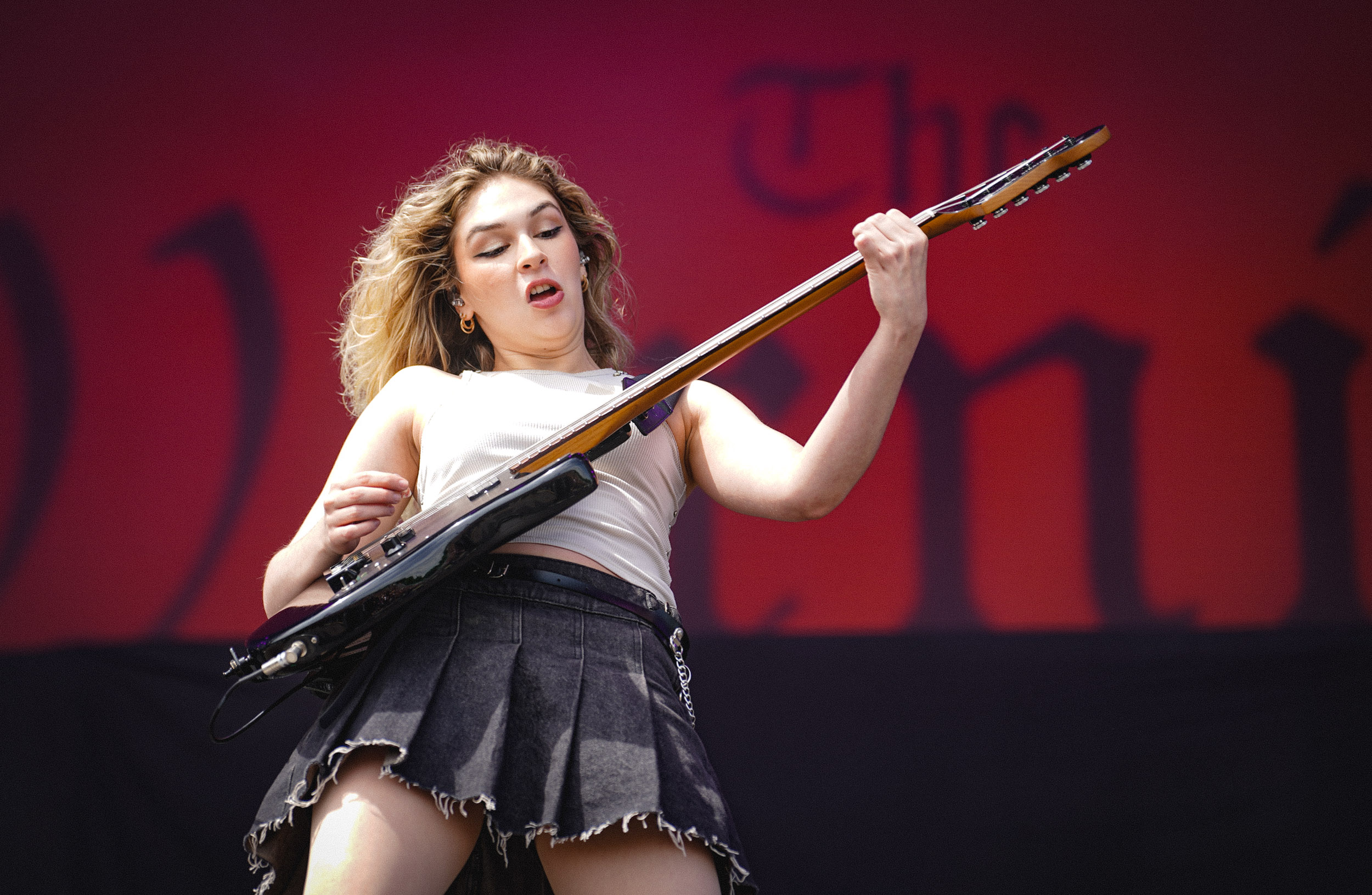 The Warning RIP Tag 2 c Lisa Hemp 37