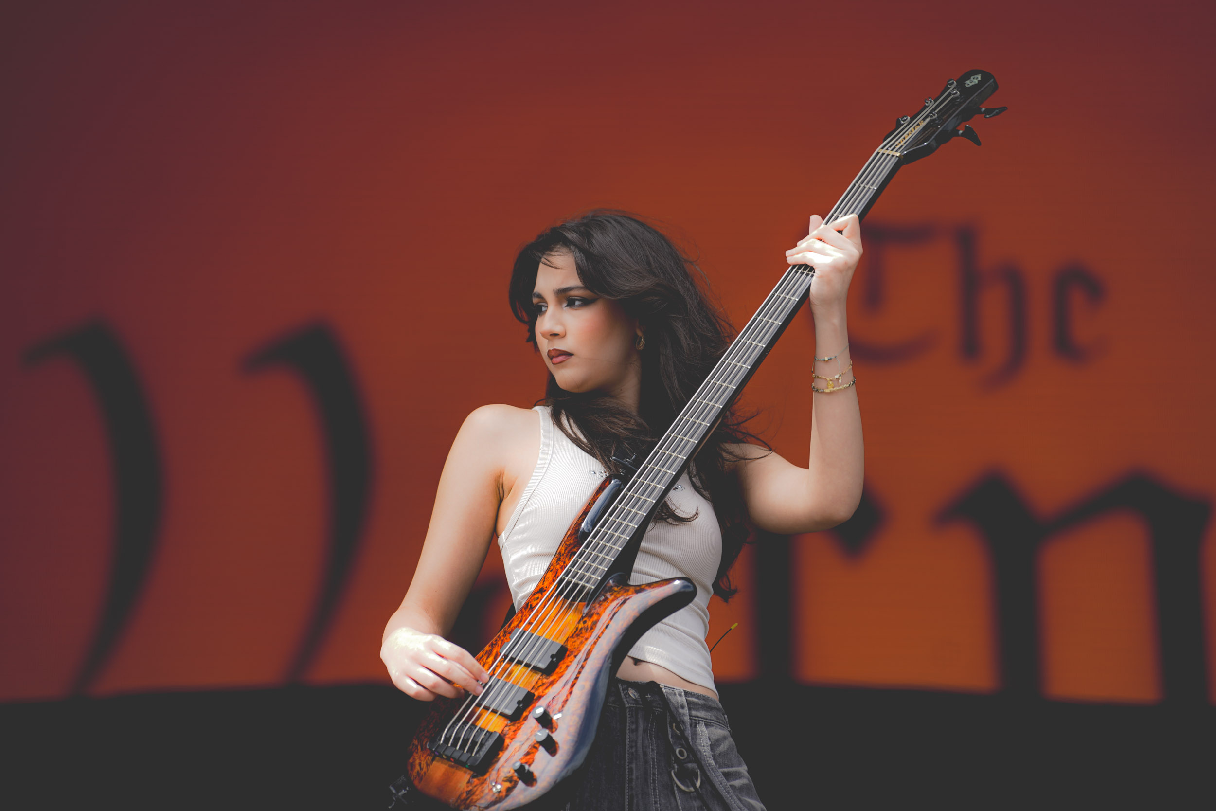 The Warning RIP Tag 2 c Lisa Hemp 4