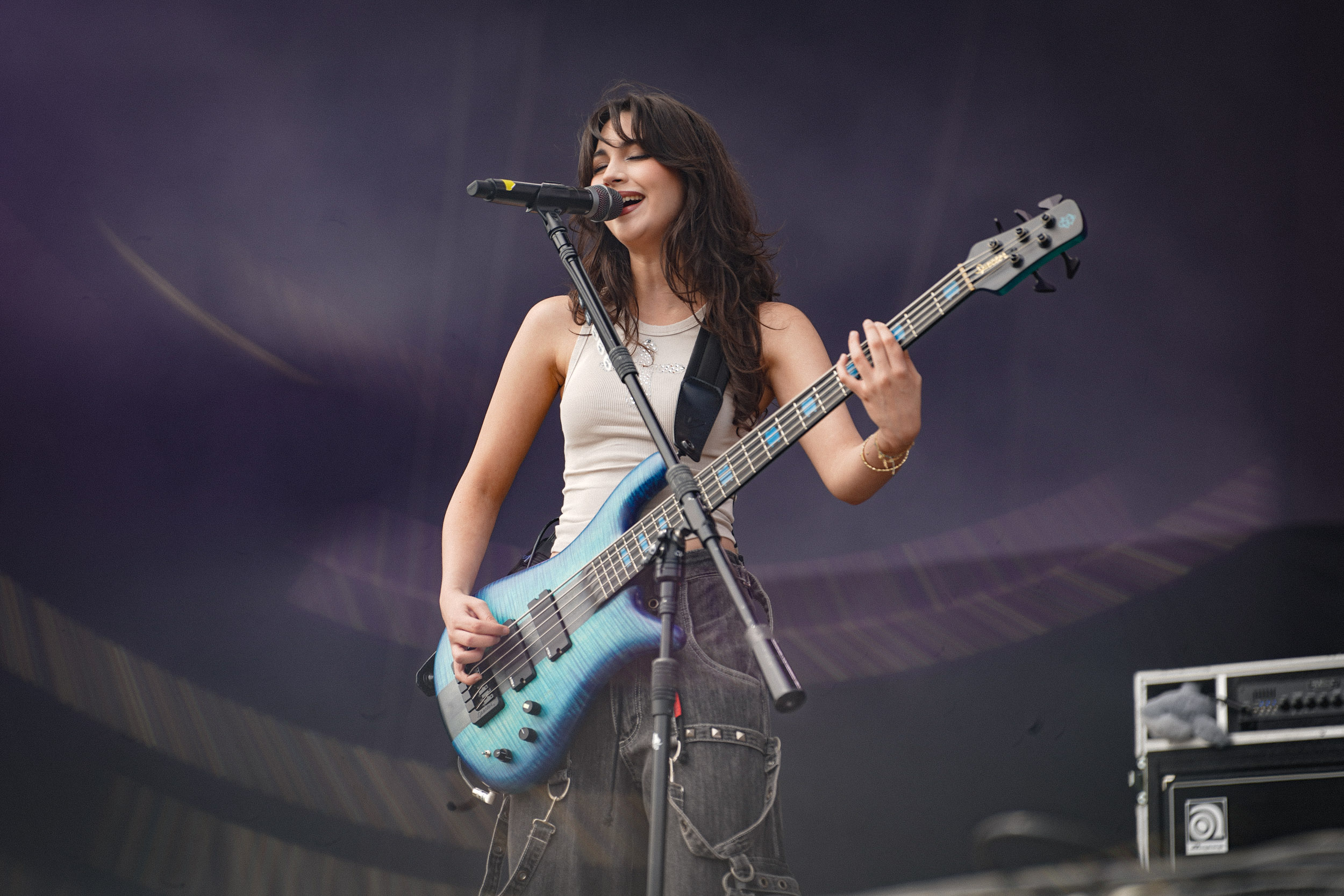 The Warning RIP Tag 2 c Lisa Hemp 40