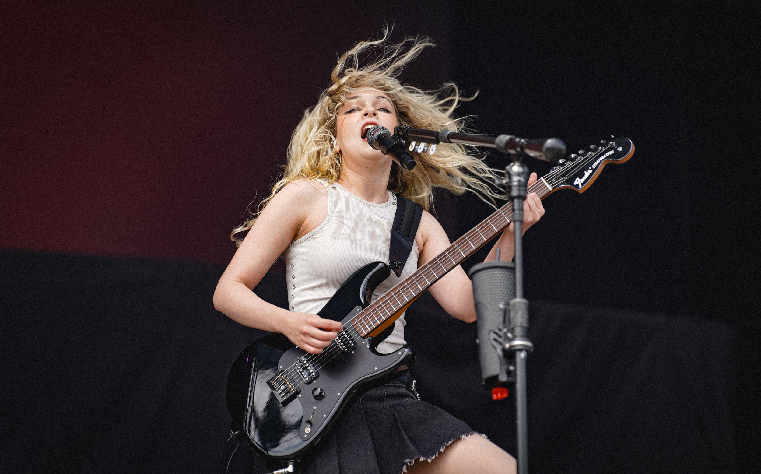 The Warning RIP Tag 2 c Lisa Hemp 45