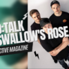 Youtube Thumbnail Swallow's Rose