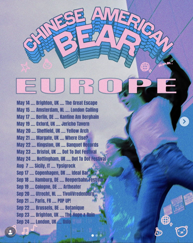 Chinese American Bear